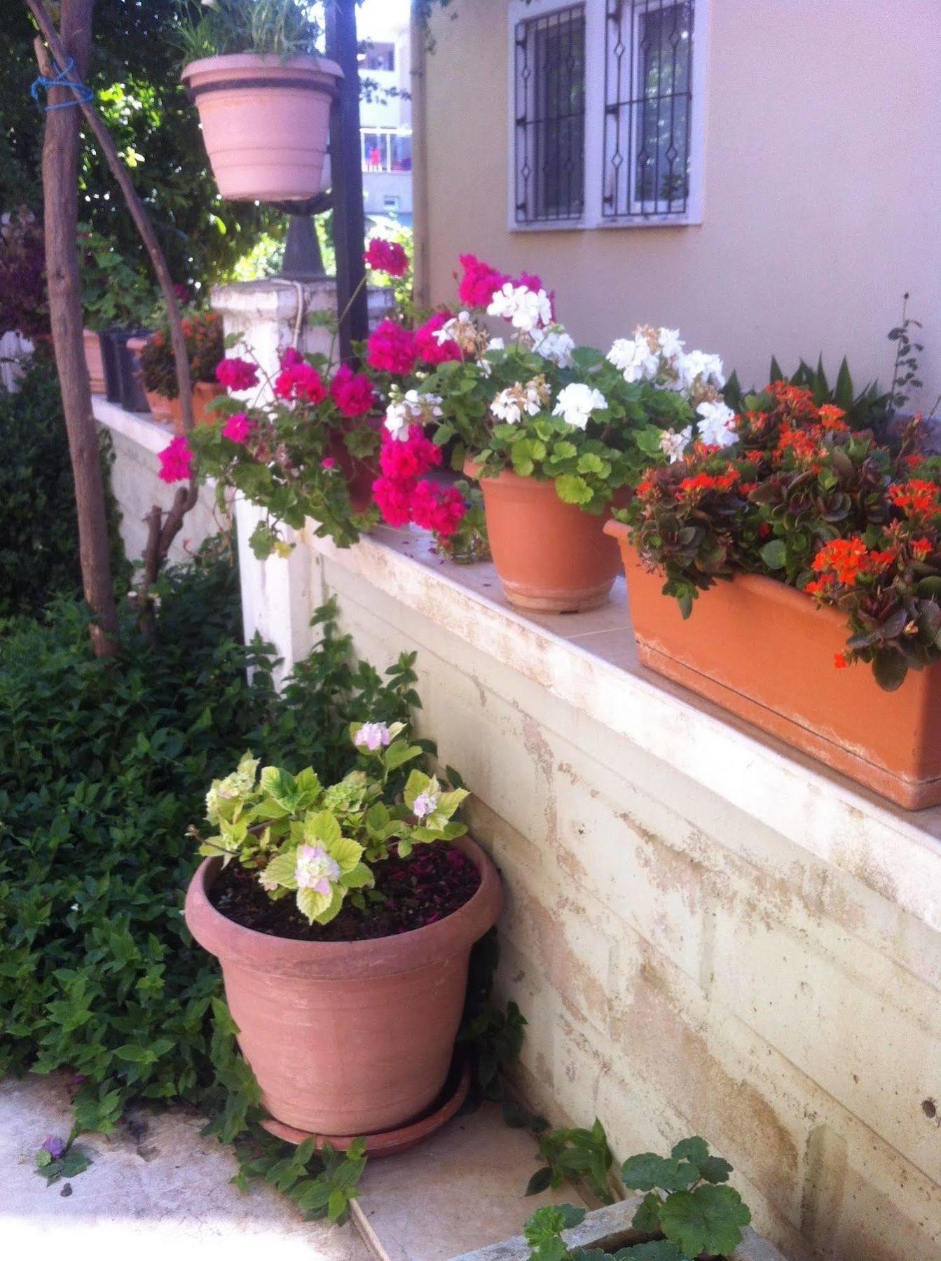 Besik Hotel Fethiye Ngoại thất bức ảnh